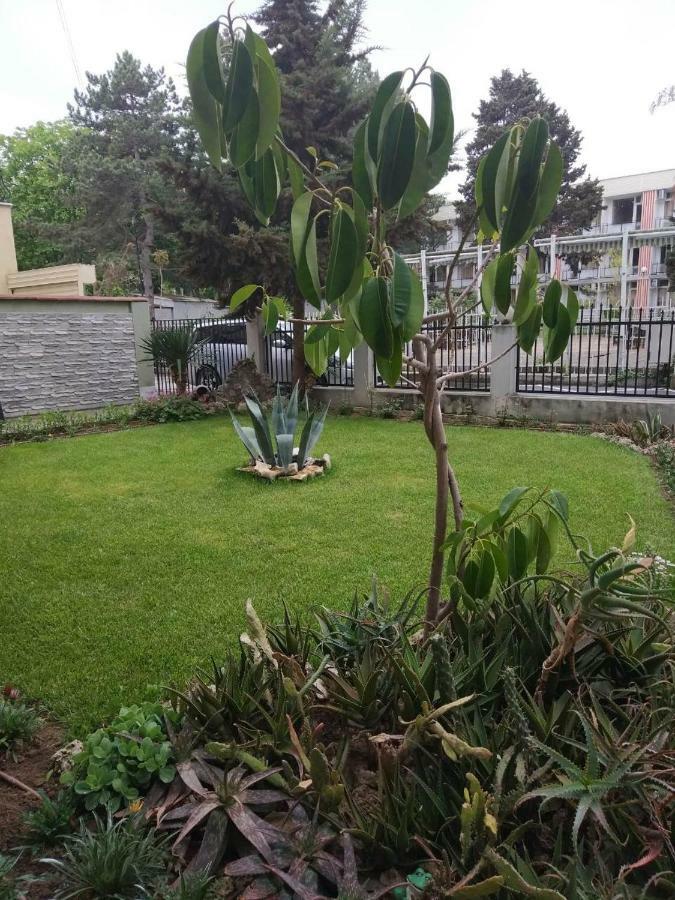 אובזור Guest House Alkor מראה חיצוני תמונה